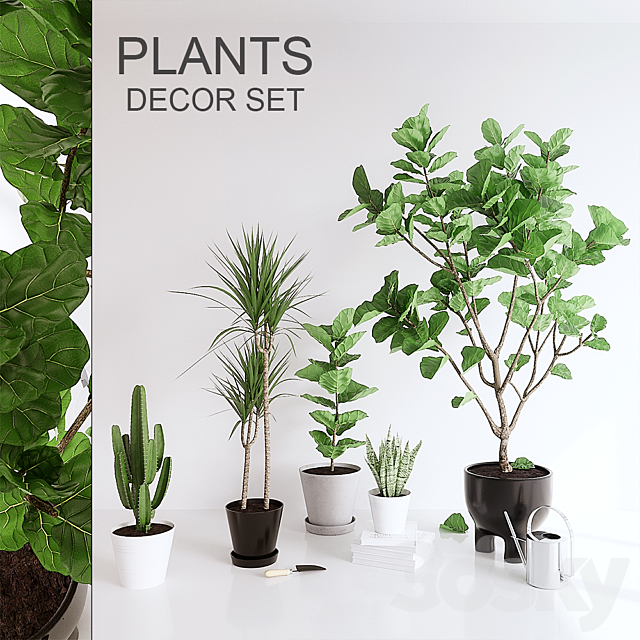 PLANTS SET (vray GGX corona PBR) Free Download