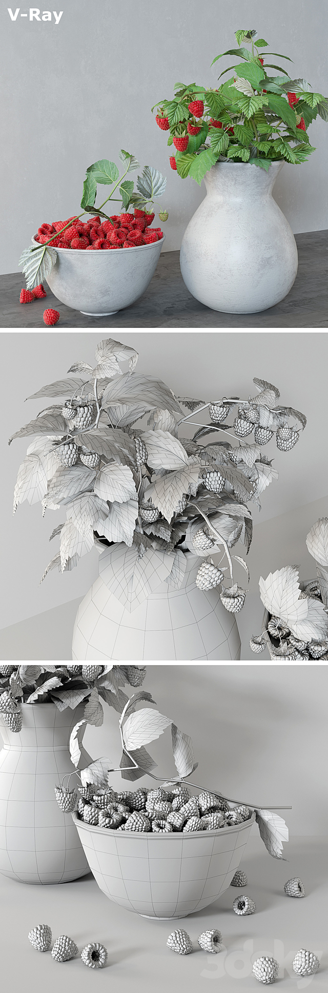 3dsky Free Download