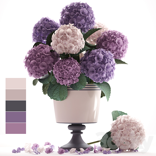 Collection of flowers 55. Hydrangea. blue flowers. flower. vase. branch 3DSMax File - thumbnail 1