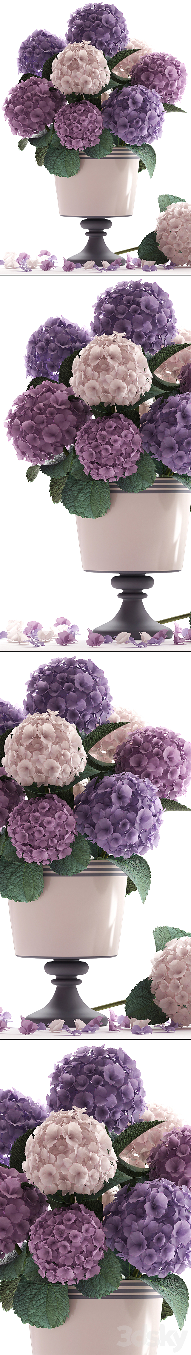Collection of flowers 55. Hydrangea. blue flowers. flower. vase. branch 3DSMax File - thumbnail 2