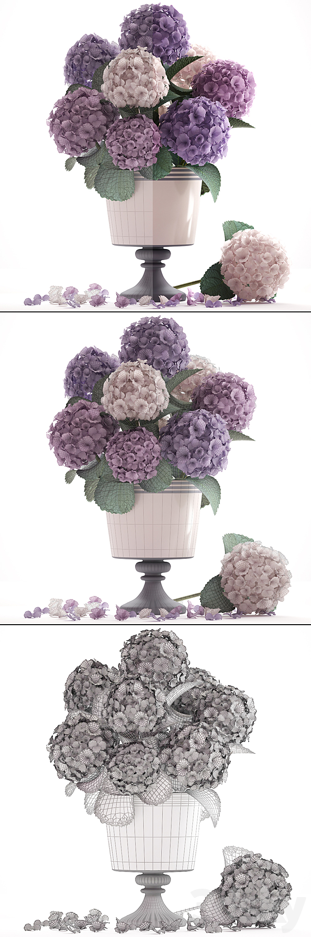Collection of flowers 55. Hydrangea. blue flowers. flower. vase. branch 3DSMax File - thumbnail 3