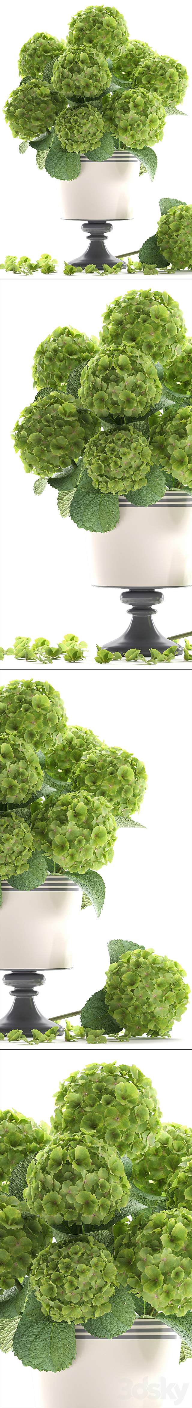 Collection of flowers 60. Hydrangea. bouquet. green flowers. vase. decor 3d