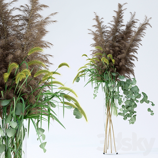 Pennisetum & Pampas grass & Eucalyptus 3DSMax File - thumbnail 1