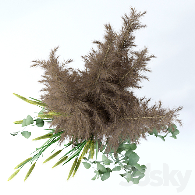 Pennisetum & Pampas grass & Eucalyptus 3DSMax File - thumbnail 2
