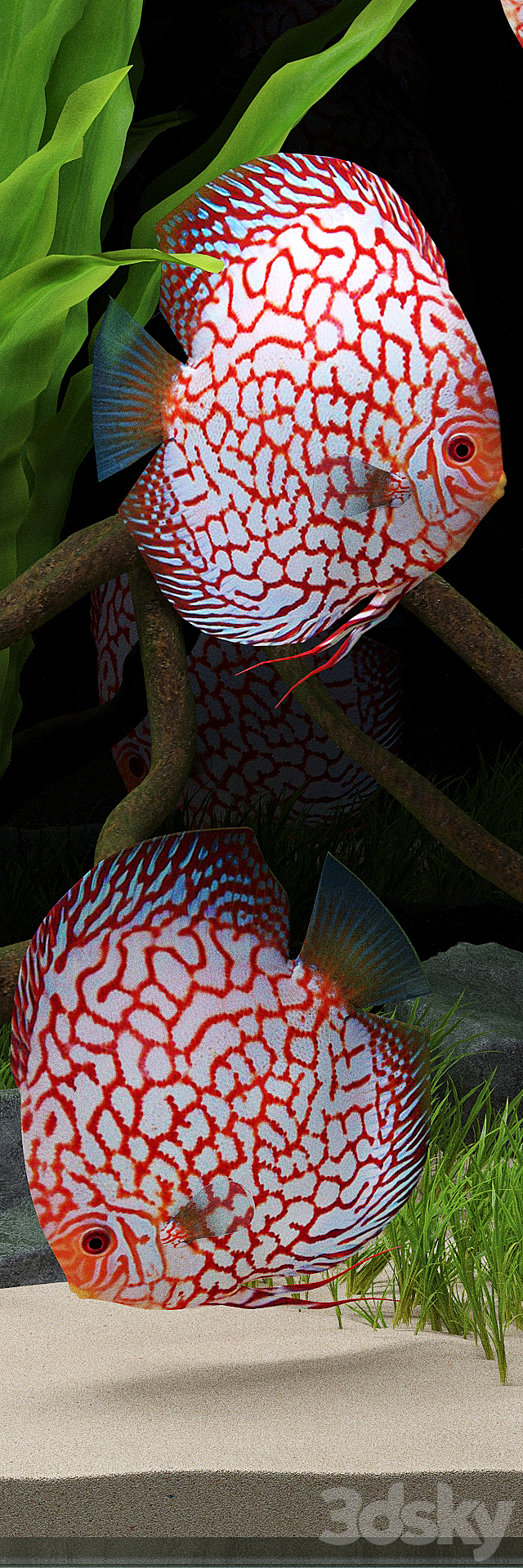 Aquarium 3DSMax File - thumbnail 3