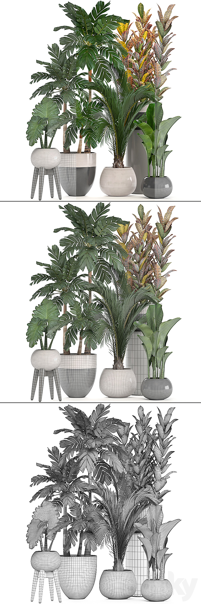 Collection of plants. Hamedorea. banana. croton. alocasia. flowerpot. indoor plants. palm 3DSMax File - thumbnail 3