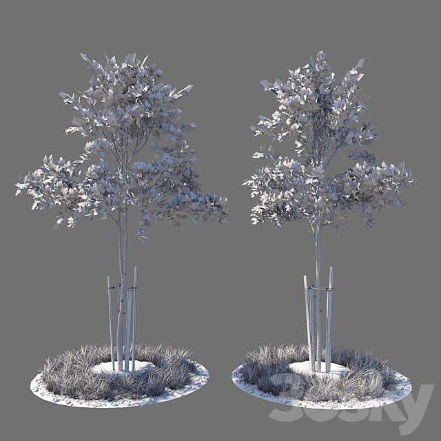 3d