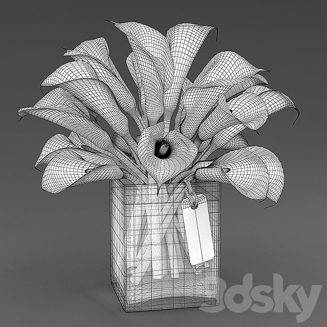 3dsky Free Download