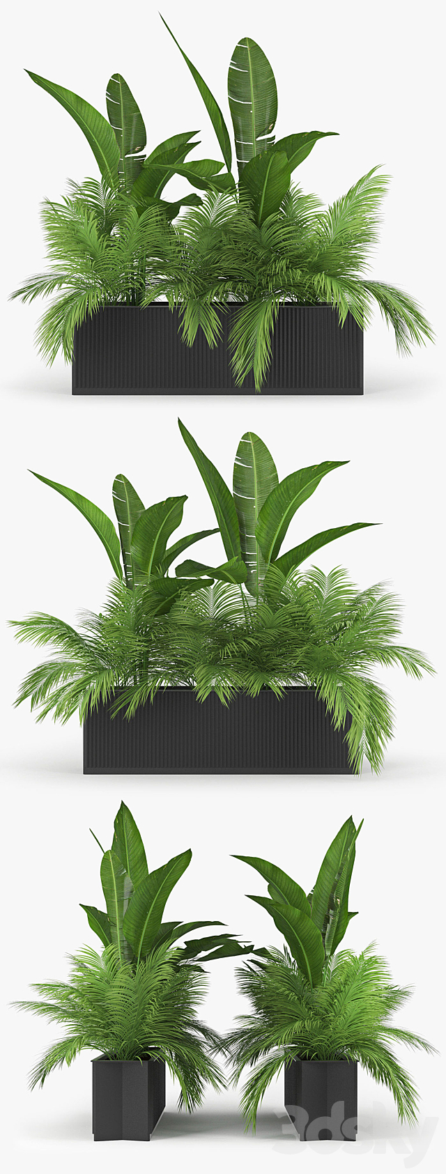 Flowerbed Palm Two 3DSMax File - thumbnail 2
