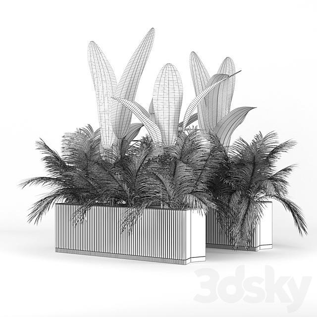 Flowerbed Palm Two 3DSMax File - thumbnail 3