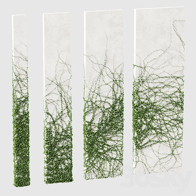 Ivy for rectangular columns. 4 models Free Download