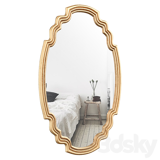 Broadmeadow Accent Wall Mirror ROSP5037 3d