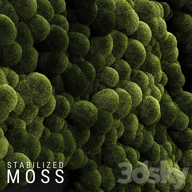 Stabilized Moss 3 3DSMax File - thumbnail 1