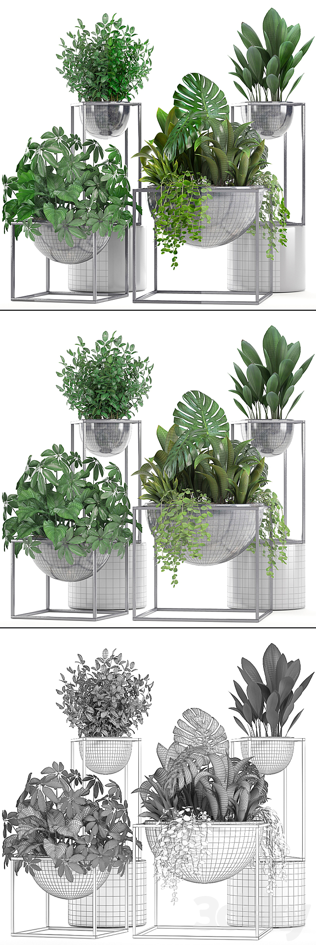 Collection of plants. Schefflera. Tradescantia. black flowerpot. loft. indoor plants. bushes 3DSMax File - thumbnail 3