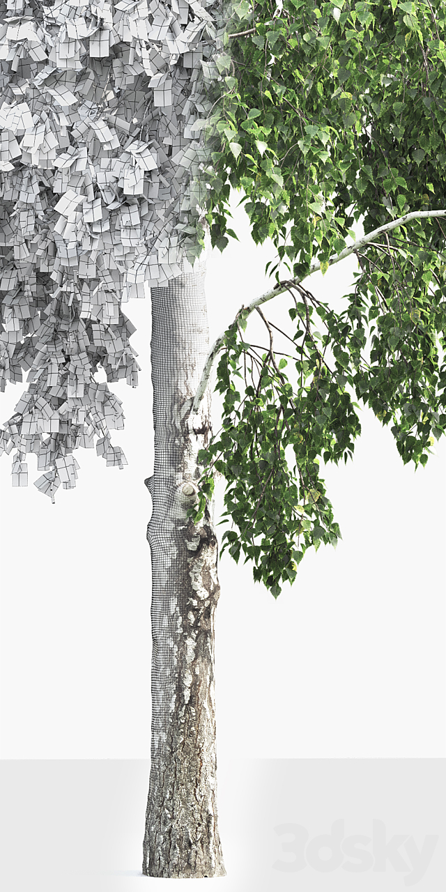 3dsky Free Download