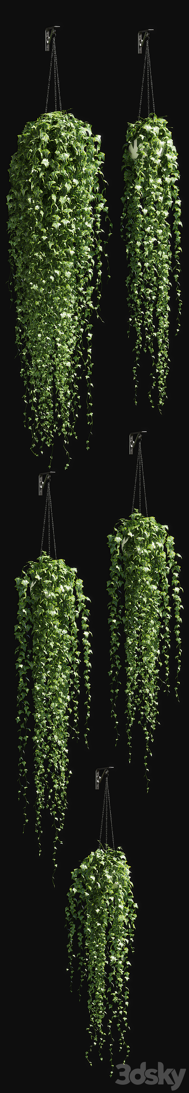 Ivy in a pot on the chain v3 3d
