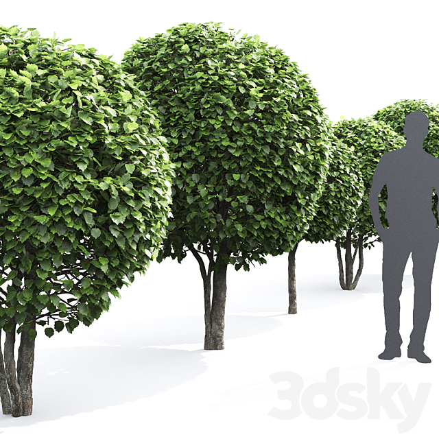 3dsky Free Download