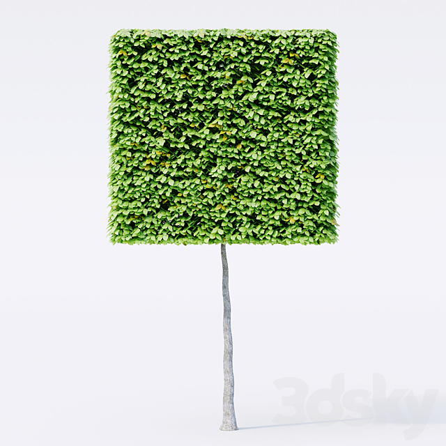 3dsky Free Download