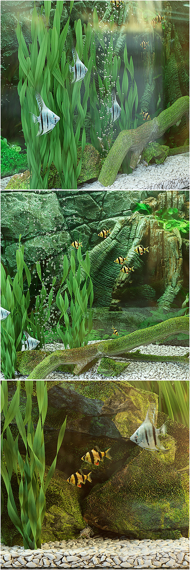 Aquarium 3DSMax File - thumbnail 2