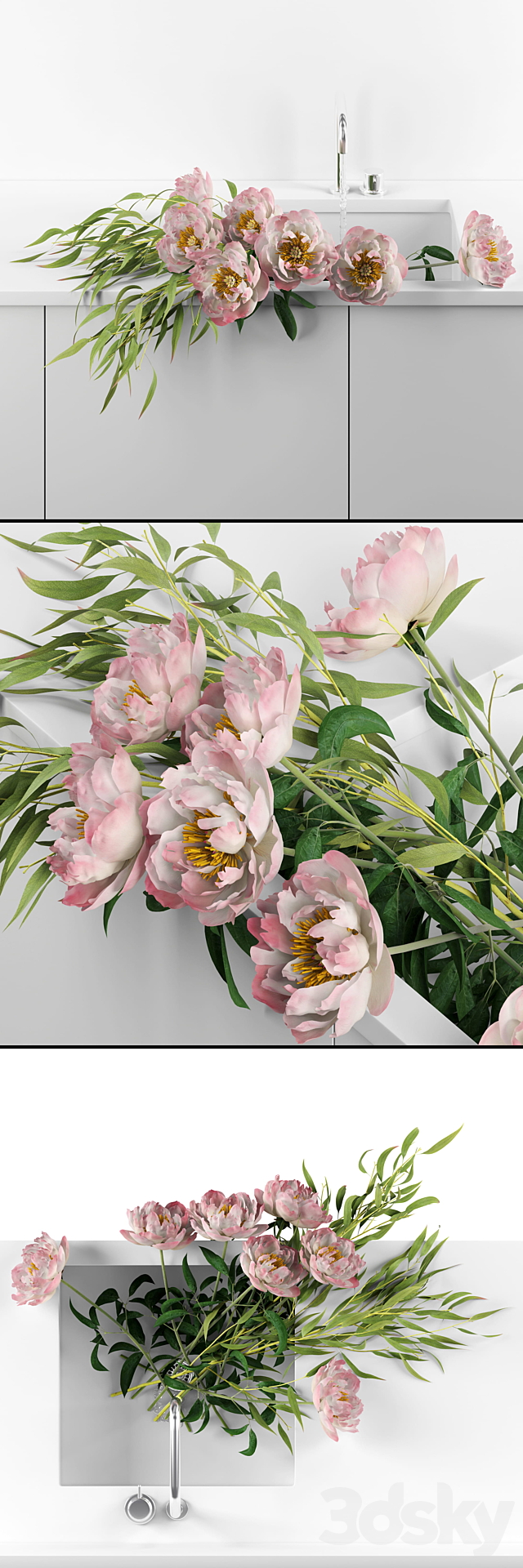 Peonies in sink 3d