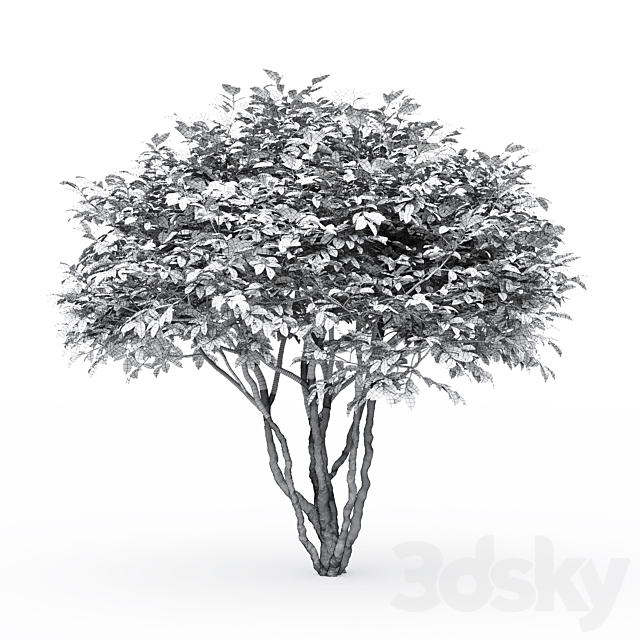 3dsky Free Download
