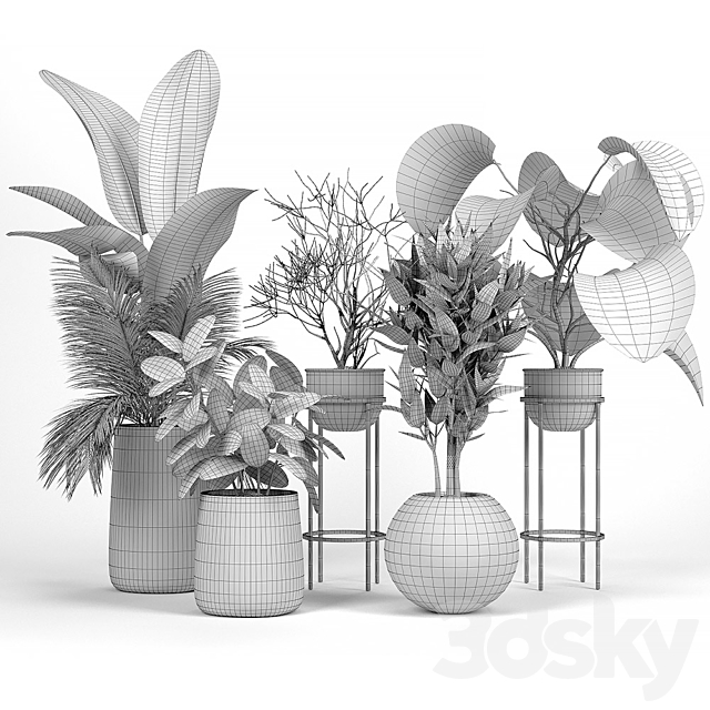 3dsky Free Download