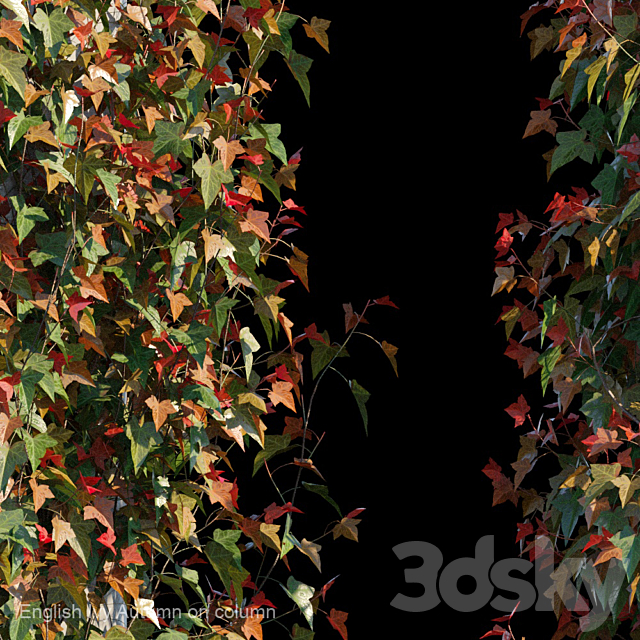 3d