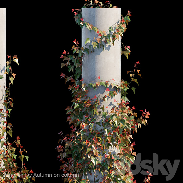 3dsky Free Download