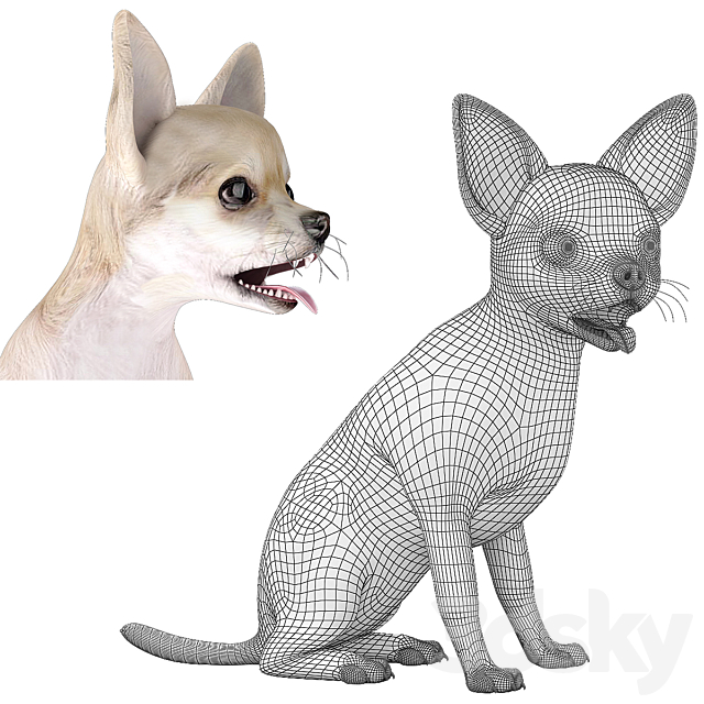 3dsky Free Download