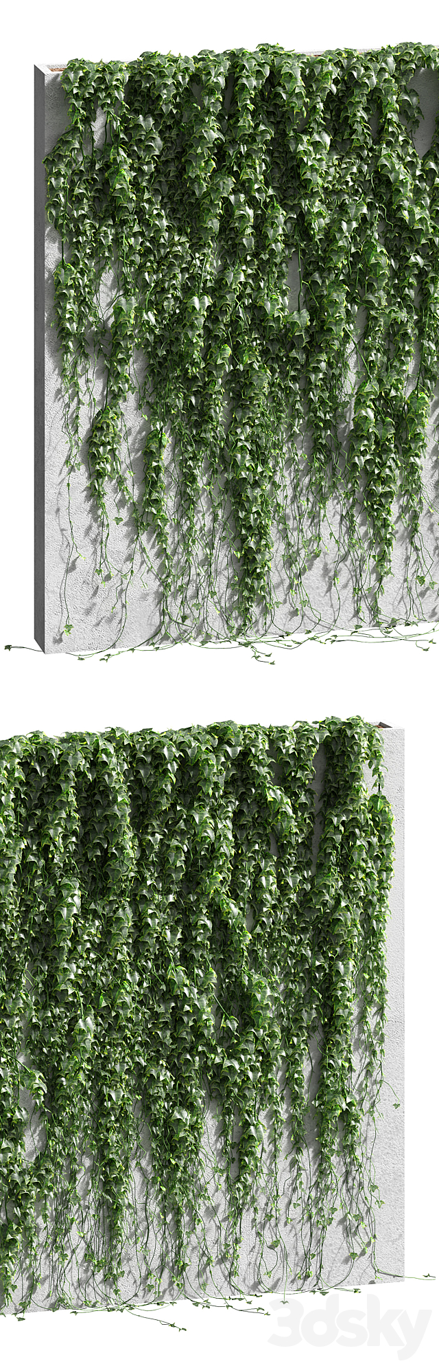 Ivy for the fence v2 3DSMax File - thumbnail 2