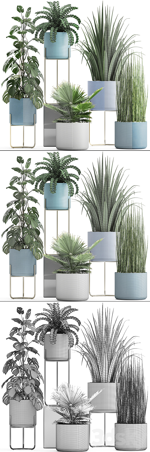 Plant collection 281. Monstera. brachea. palm tree. horsetail. indoor plants. pot. Scandinavian style. bushes. exotic. indoor 3DSMax File - thumbnail 3