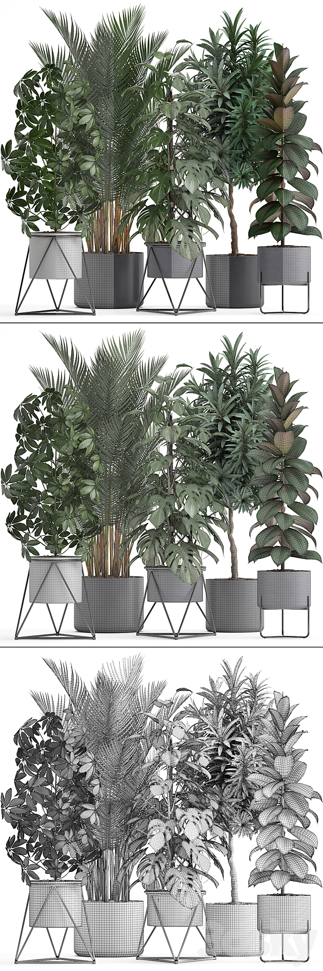 Plant collection 284. Palm. Ficus. monstera. indoor plants. shefflera. pot. stylish flowerpot. ficus abidjan. Scandinavian style 3DSMax File - thumbnail 3