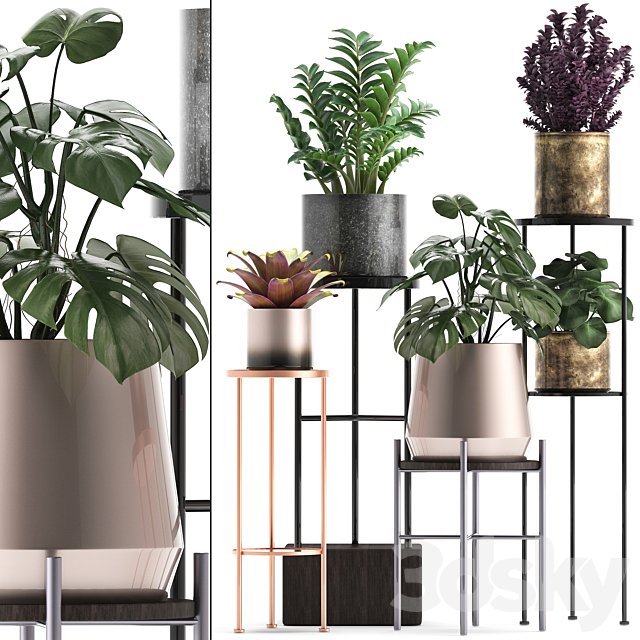 Plant collection 286. Flower shelf. pot. monstera. bromeliad. Zamioculcas. luxury. small plants. stand 3DSMax File - thumbnail 1