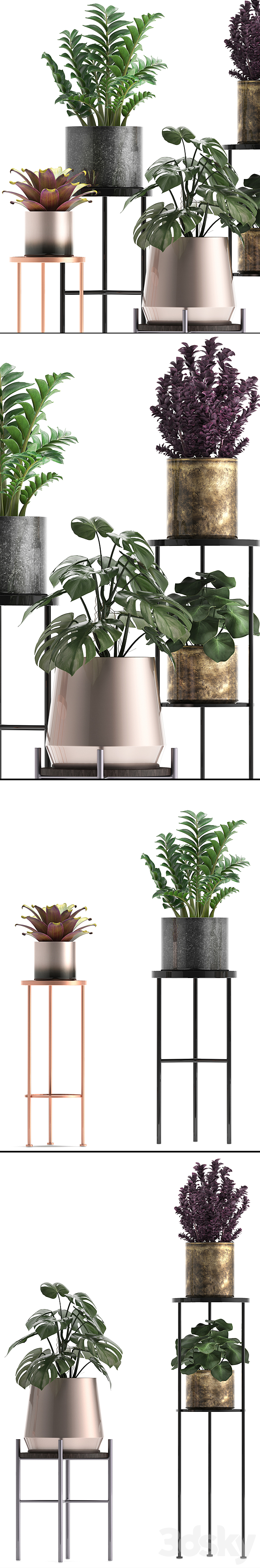 Plant collection 286. Flower shelf. pot. monstera. bromeliad. Zamioculcas. luxury. small plants. stand 3DSMax File - thumbnail 2