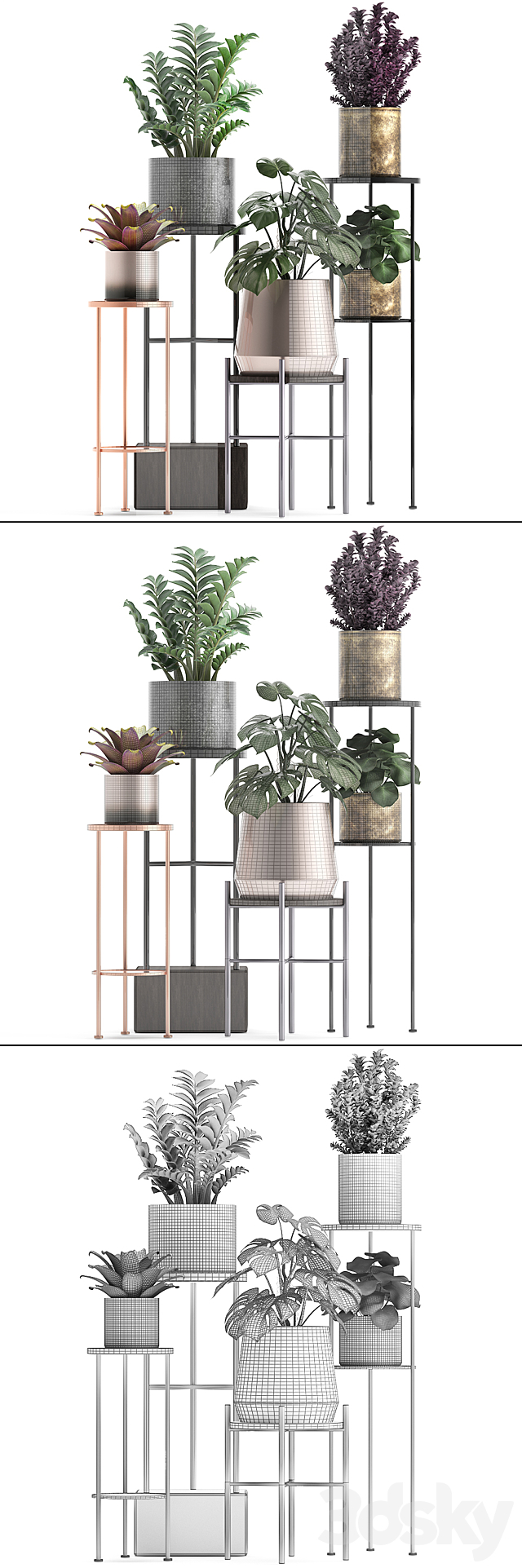 Plant collection 286. Flower shelf. pot. monstera. bromeliad. Zamioculcas. luxury. small plants. stand 3DSMax File - thumbnail 3