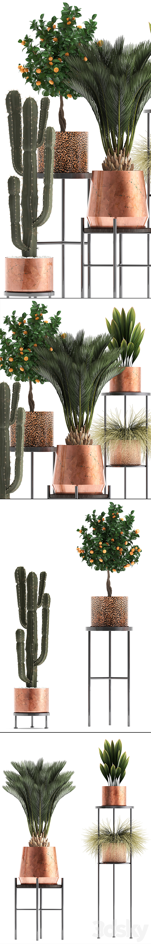 Plant collection 288.  Copper pot. shelf with flowers. stand. cactus. palm tree. cicada. copper. tangerine. flower. bush. interior. metal. loft. cycas 3DSMax File - thumbnail 2