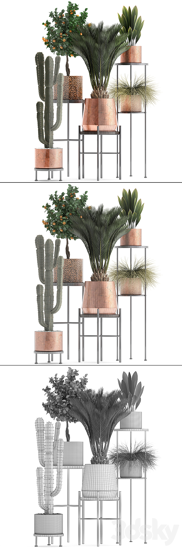 Plant collection 288.  Copper pot. shelf with flowers. stand. cactus. palm tree. cicada. copper. tangerine. flower. bush. interior. metal. loft. cycas 3DSMax File - thumbnail 3