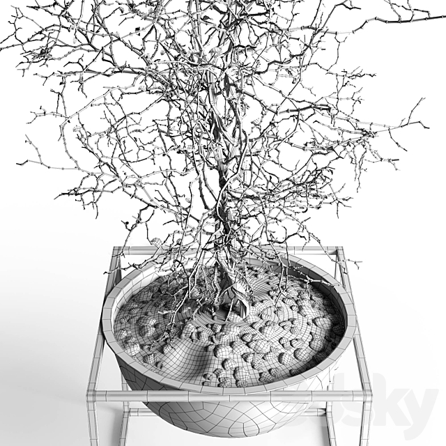 3dsky Free Download
