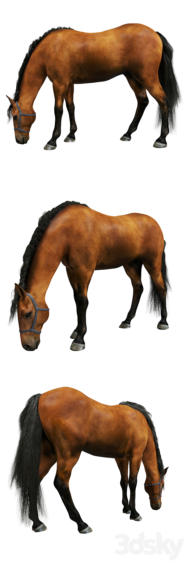 Horse 3d