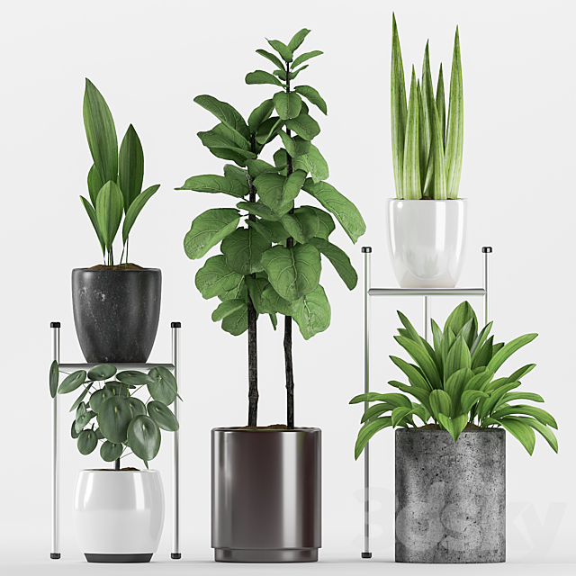 Plants 131 3d