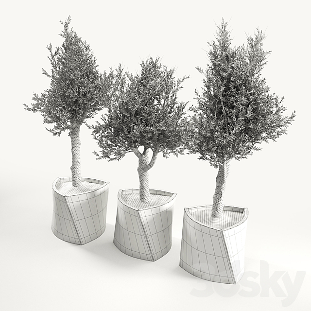 3dsky Free Download