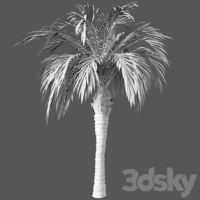 Set of palm trees 3DS Max Model - thumbnail 3