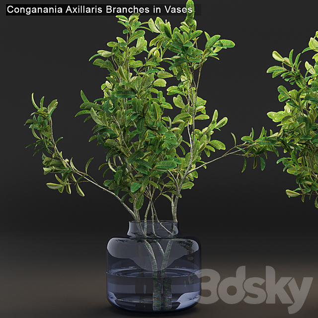 3dsky Free Download