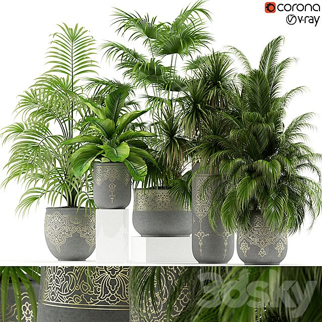 Plants collection 147 handmade pots East style 3DSMax File - thumbnail 1