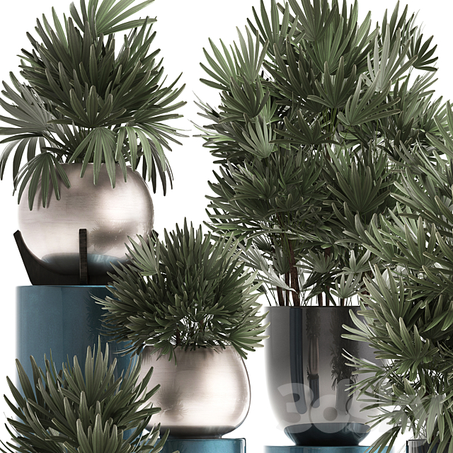Plant collection 299. Interior palm tree. rapis. pot. flowerpot. luxury pot. bushes. thickets. Raphis Palm. stylish plants 3DSMax File - thumbnail 2