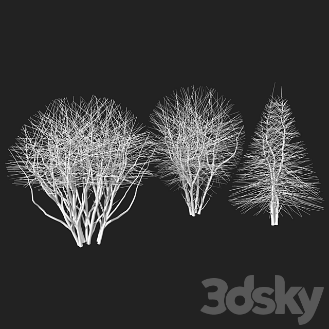 Shrubs 3DS Max Model - thumbnail 3