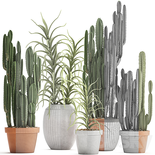 Plant collection 302. Cactus set. Cacti. cereus. aloe. indoor cactus. pot. flowerpot. clay. clinker. Aloe. concrete. desert plants. outdoor 3DSMax File - thumbnail 3
