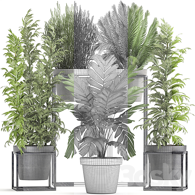 Plant collection 317. Indoor. bamboo. pot. flowerpot. palm tree. indoor. Ripsalis. Hamedorea. thickets. bush. concrete pot. outdoor 3DSMax File - thumbnail 3