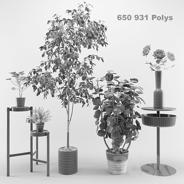 3dsky Free Download