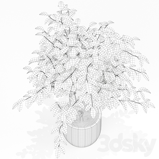 3dsky Free Download